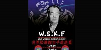 اعزام تيم منتخب سبك شوتوكان wskf به مسابقات جهاني ژاپن 
